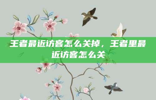 王者最近访客怎么关掉，王者里最近访客怎么关