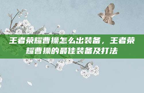 王者荣耀曹操怎么出装备，王者荣耀曹操的最佳装备及打法