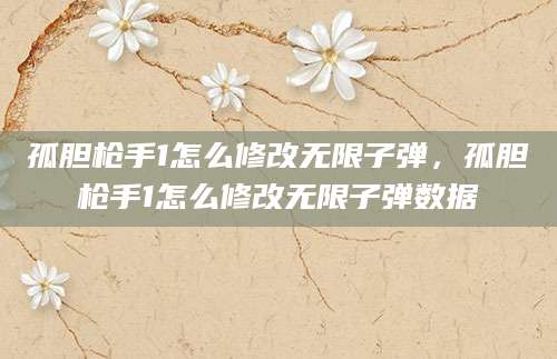 孤胆枪手1怎么修改无限子弹，孤胆枪手1怎么修改无限子弹数据