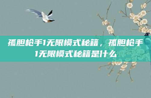 孤胆枪手1无限模式秘籍,孤胆枪手1无限模式秘籍是什么