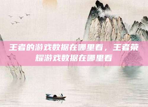王者的游戏数据在哪里看，王者荣耀游戏数据在哪里看
