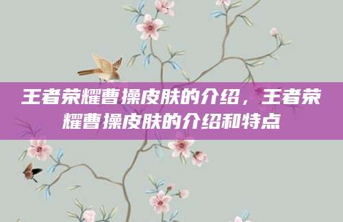 王者荣耀曹操皮肤的介绍，王者荣耀曹操皮肤的介绍和特点