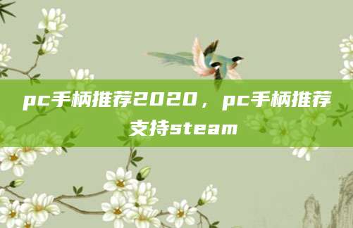 pc手柄推荐2020,pc手柄推荐 支持steam