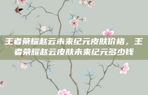 王者荣耀赵云未来纪元皮肤价格,王者荣耀赵云皮肤未来纪元多少钱