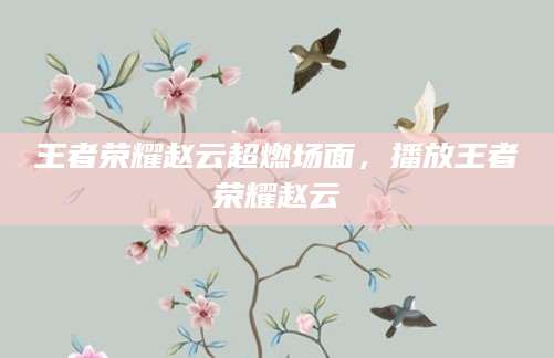 王者荣耀赵云超燃场面，播放王者荣耀赵云