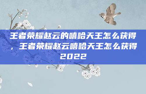王者荣耀赵云的嘻哈天王怎么获得，王者荣耀赵云嘻哈天王怎么获得2022