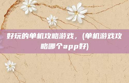好玩的单机攻略游戏，(单机游戏攻略哪个app好)