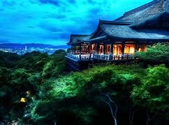 云樱动画视频在哪里看，云樱动画视频在哪里看啊