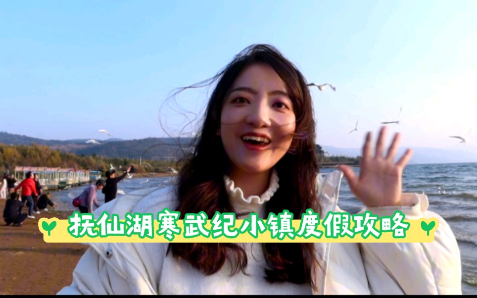 小镇玩法，心动小镇玩法